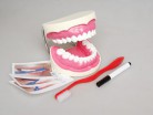 Дидактический набор "Чистим зубы" - Группа компаний Свежий Ветер