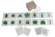 Шкафчик с карточками к ботаническому комоду - Группа компаний Свежий Ветер