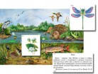 Магнитный плакат-аппликация "Водоем: биоразнообразие и взаимосвязи в сообществе" - Группа компаний Свежий Ветер