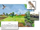 Магнитный плакат-аппликация "Поле: биоразнообразие и взаимосвязи в сообществе" - Группа компаний Свежий Ветер