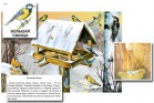 Магнитный плакат-аппликация "Биоразнообразие и экологические группы. Птицы зимой" - Группа компаний Свежий Ветер