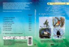 Компакт-диск "Оседлые и перелетные птицы"  - Группа компаний Свежий Ветер