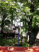 Стойки баскетбольные уличные вылет 0,5м(пара) адаптированы под фанерный щит 1200х900мм  - Группа компаний Свежий Ветер