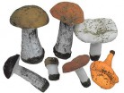 Набор муляжей грибов - Группа компаний Свежий Ветер