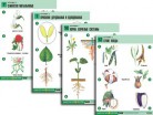 Комплект таблиц по биологии дем. "Ботаника 2" - Группа компаний Свежий Ветер