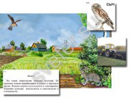Магнитный плакат-аппликация "Поле: биоразнообразие и взаимосвязи в сообществе" - Группа компаний Свежий Ветер