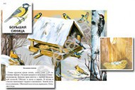 Магнитный плакат-аппликация "Биоразнообразие и экологические группы. Птицы зимой" - Группа компаний Свежий Ветер