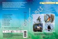 Компакт-диск "Оседлые и перелетные птицы"  - Группа компаний Свежий Ветер