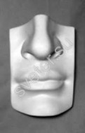 Гипсовая модель "Нос человека" - Группа компаний Свежий Ветер