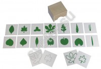 Шкафчик с карточками к ботаническому комоду - Группа компаний Свежий Ветер