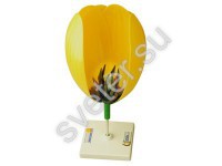 Модель цветка тюльпана - Группа компаний Свежий Ветер